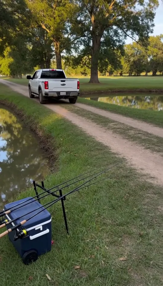 Hit the Road Dude AI video in the Cowboy drawl style